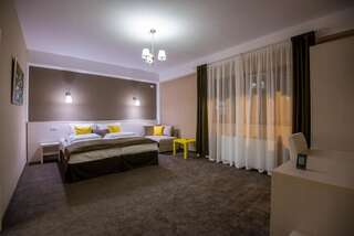 Гостевой дом Pensiunea Holiday Villa Брашов Двухместный номер Делюкс с 1 кроватью-3