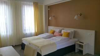 Гостевой дом Pensiunea Holiday Villa Брашов Улучшенный двухместный номер с 1 кроватью-10