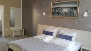 Гостевой дом Pensiunea Holiday Villa Брашов Улучшенный двухместный номер с 1 кроватью-11