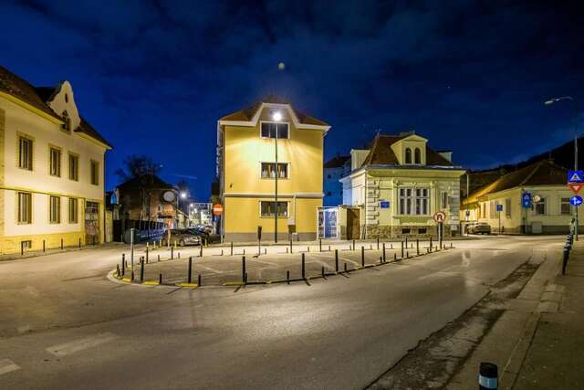 Гостевой дом Pensiunea Holiday Villa Брашов-22