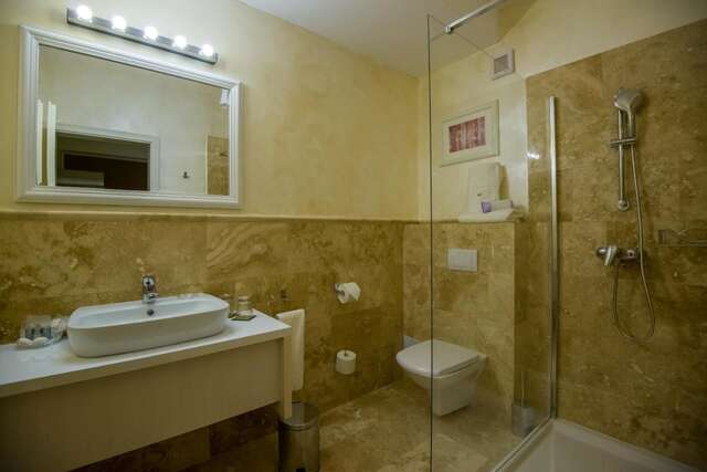 Гостевой дом Pensiunea Holiday Villa Брашов-33